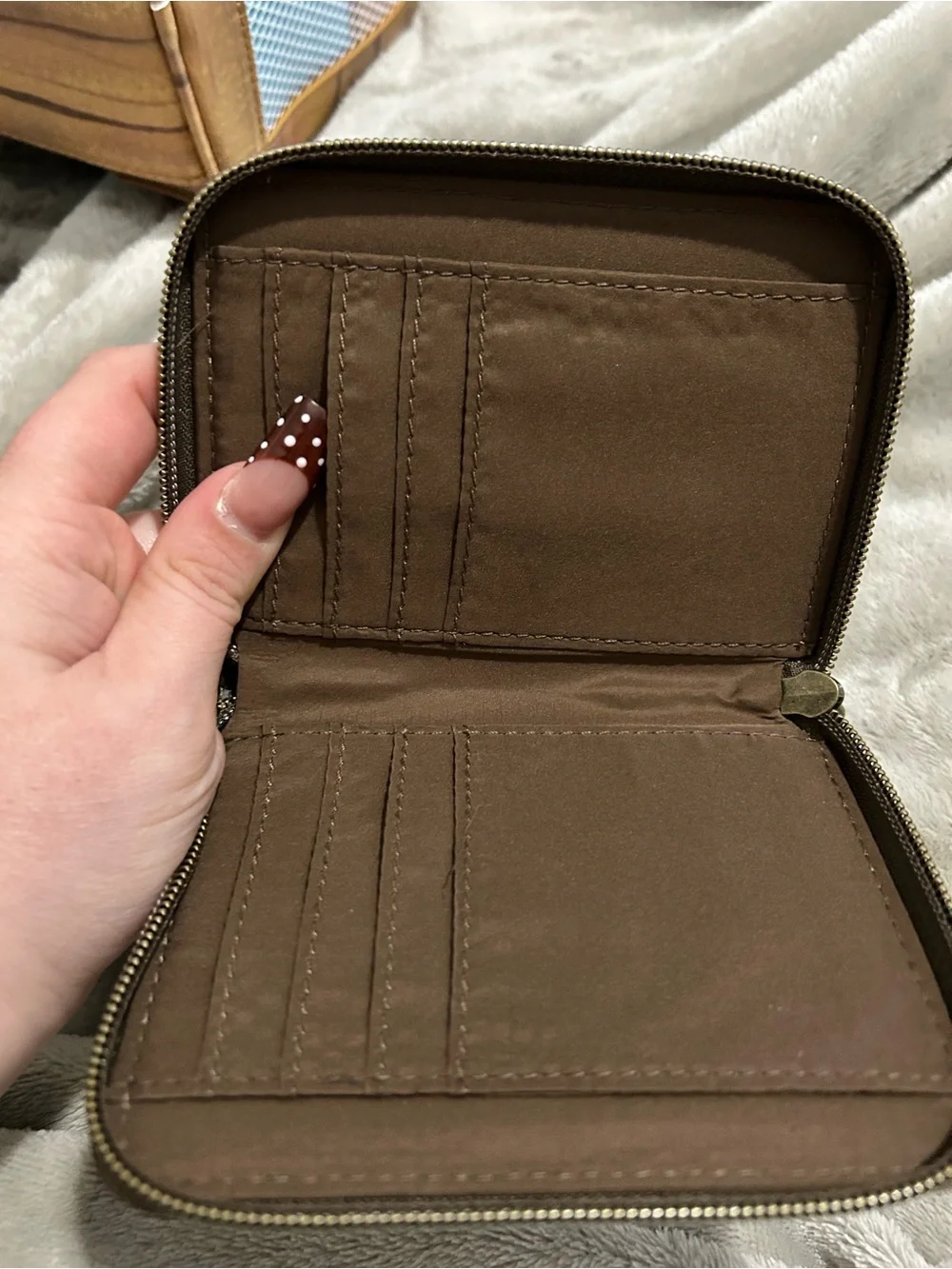 Indiana Jones Print Zip Wallet in Tan and Brown